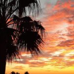 WhatsApp Image 2025-03-06 at 19.25.42